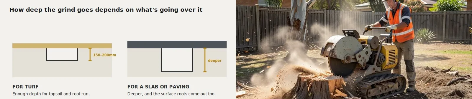 Diagram of stump grinding depth for turf versus a slab, beside a photographic interpretation of a stump grinder at work.