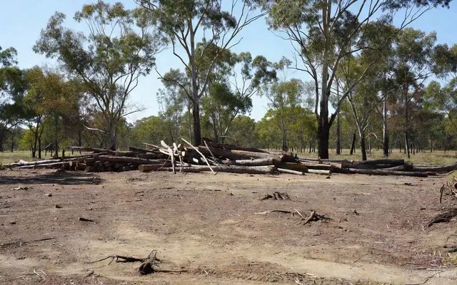 A cleared rural block with timber stacked