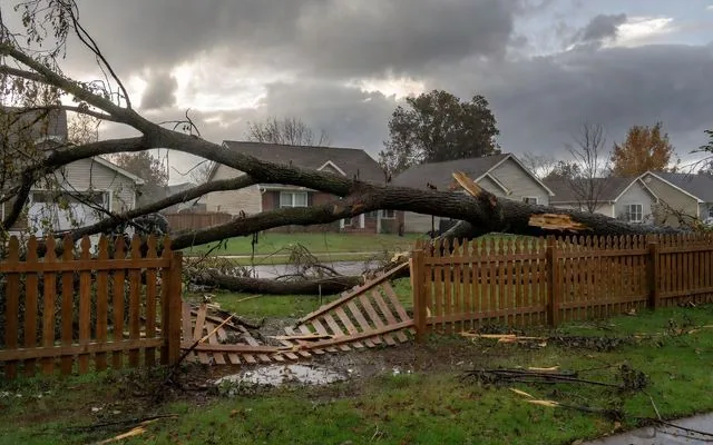 A fallen limb across a suburban fence